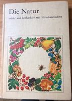 Die Natur erlebt und beobachtet mit Vorschulkindern Sachsen - Hoyerswerda Vorschau