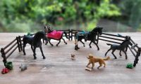 Schleich Pferde Pferdehof Hund Katze Kaninchen Niedersachsen - Bissendorf Vorschau