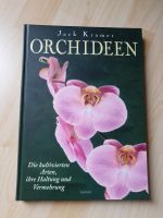 Orchideen - Jack Kramer Baden-Württemberg - Wolfschlugen Vorschau
