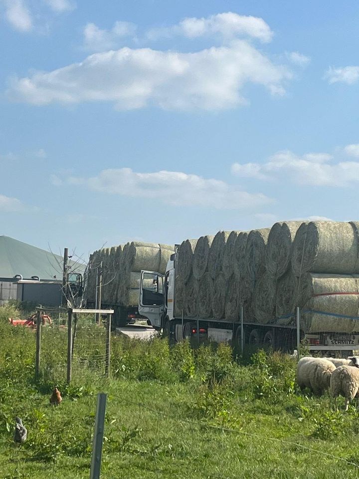 Heu / Pferdeheu / Heuballen / Heu Rundballen (Ernte 2023) in Nettetal