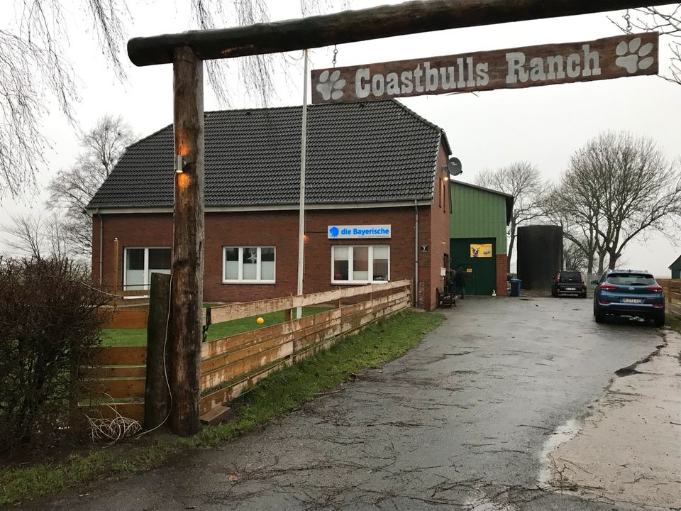 Hundepension & Trainingscenter in Elpersbüttel in Elpersbüttel