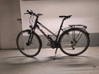 Damenfahrrad / Trapez Giant Argento, Rahmengröße 50 Dresden - Innere Neustadt Vorschau