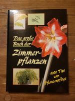 Bücher über Pflege Zimmerpflanzen und Bonsai - Verschiedene Titel Saarland - Saarlouis Vorschau