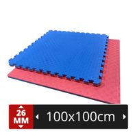 STAFFELPREISE Tatami 26 EVA-Schaum 100x100x2,6cm bl/rt Nordrhein-Westfalen - Düren Vorschau