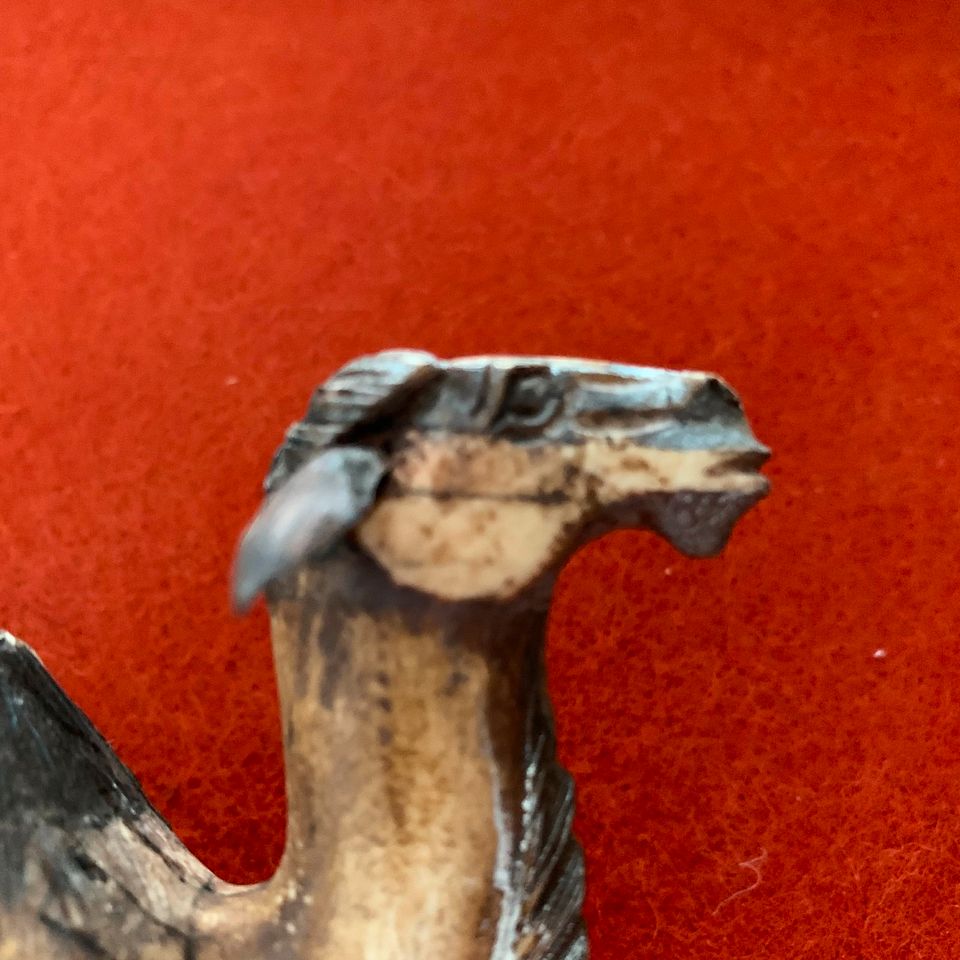 Camel aus Knochen Handarbeit Kunst Antike Sammler in Aachen