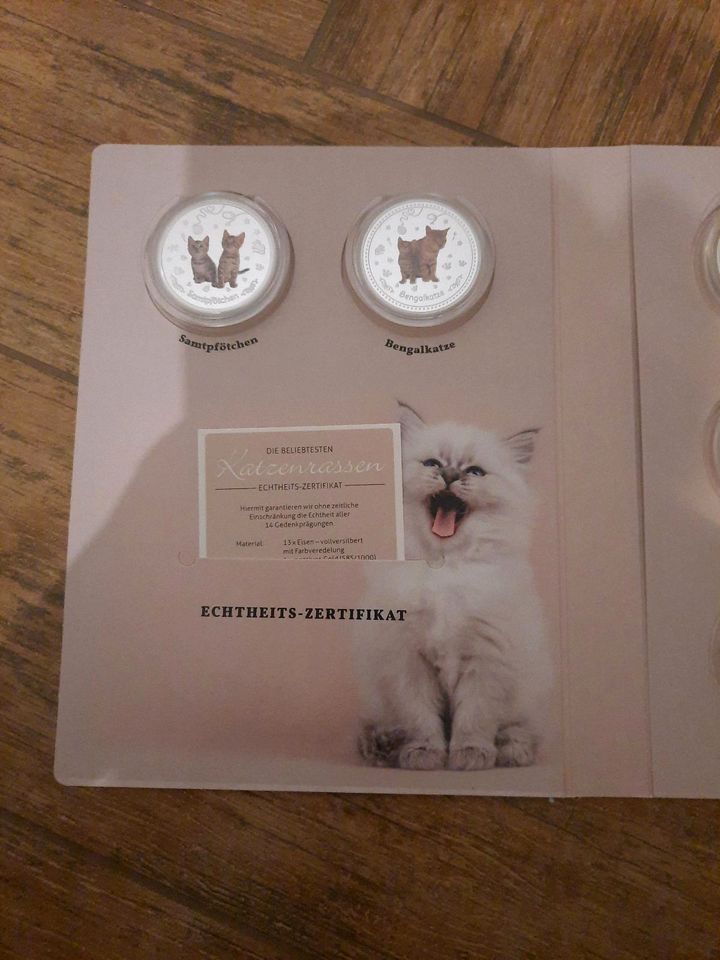 MDM Münzen, beliebteste Katzenrassen, neu in Tetenhusen