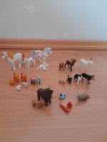 Playmobil Tiere Einhorn Katze Hund Reh Waschbär Hessen - Kalbach Vorschau