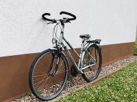 Fahrrad 28 Zoll Pegasus Rheinland-Pfalz - Alzey Vorschau
