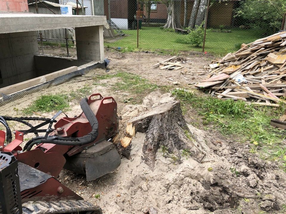 Baumwurzel entfernen, Stubbenfräsen, Baufeldrodung, Rodung in Langwedel