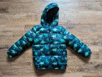 HM H m Winterjacke Jacke Dino Dinosaurier 128 Brandenburg - Cottbus Vorschau