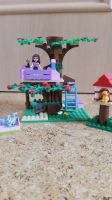 Große LEGO Friends und Elves Sammlung Bayern - Langquaid Vorschau