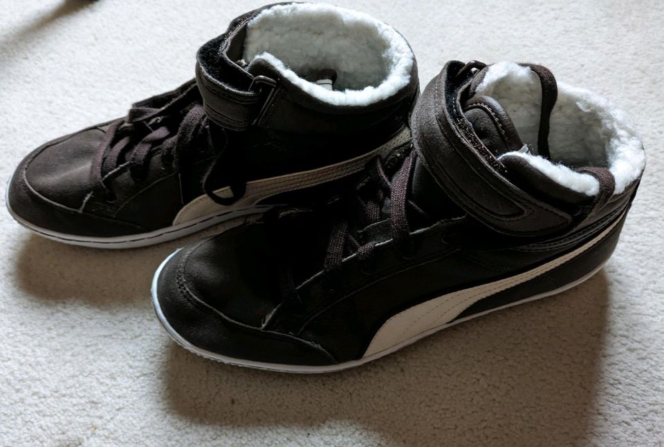 Turnschuhe von Puma in braun für den Winter in Duingen