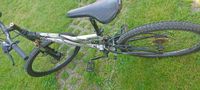 Jungen Mountainbike 26 zoll COYOTE Nordrhein-Westfalen - Heiligenhaus Vorschau