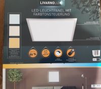 LIVARNO LUX® LED Einbau-/Aufbauleuchte Quadrat Deckenpanel Sachsen - Bad Gottleuba-Berggießhübel Vorschau