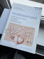 Neuroanatomie Kipp Medizin Rostock - Reutershagen Vorschau