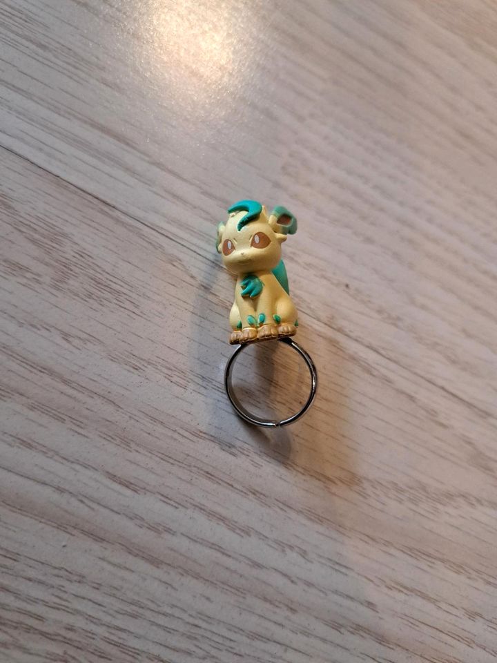 Pokemon ring in Dinslaken