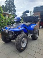 Quad, E-TON Yukon,2-Sitzer mit Straßenzulassung Niedersachsen - Kirchlinteln Vorschau