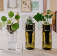 side by side selbstbewässernd Vase Topf Blumengefäß grün Flasche Bayern - Ergolding Vorschau
