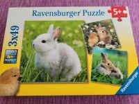 Ravensburger Puzzle,  ab 5 Jahre, 3x49 Teile, Niedliche Häschen Nordrhein-Westfalen - Moers Vorschau