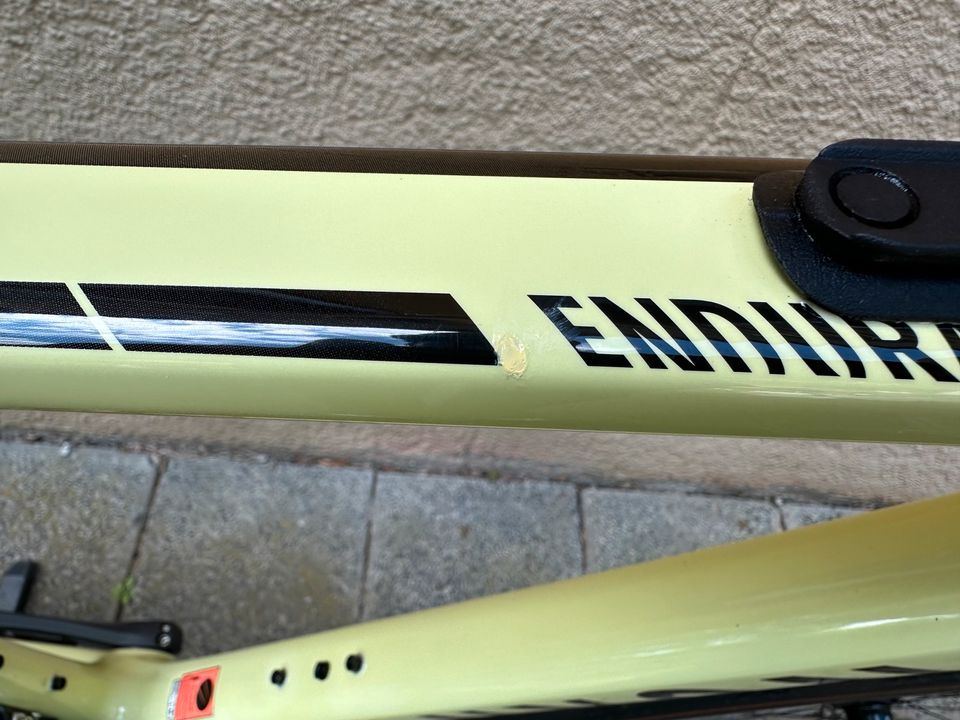 Canyon Endurace CF SL 8 Disc Di2 Frozen Yellow M Hunt powermeter in Frankfurt am Main