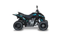 Quad ACCESS 300 Supermoto mit LOF Automatik Schleswig-Holstein - Travenbrück Vorschau