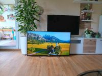 Sony Smart TV 55 Zoll Ultra HD 4K (neuwertig) Nordrhein-Westfalen - Kerpen Vorschau