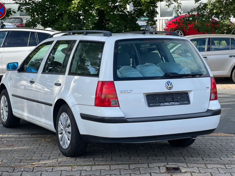 Volkswagen Golf 1.6 Auto Basis Variant/Automatik/Klima in Adendorf