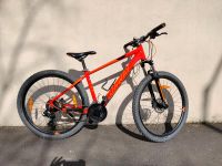 Conway Mountainbike Orange Bayern - Sulzbach-Rosenberg Vorschau