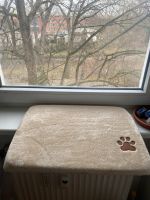 Katzen Fensterbett Berlin - Spandau Vorschau