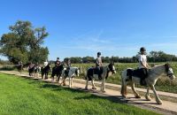 Reiterferien für Mädchen in Bückeburg Pony Reiten Tageskind Niedersachsen - Bückeburg Vorschau