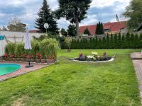 Garten Haus und Hof Service Brandenburg - Zossen-Dabendorf Vorschau