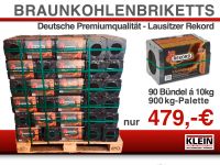 Braunkohle-Briketts 10kg-Bündel Kohlen 900 kg-Palette Lausitzer Rekord Thüringen - Herbsleben Vorschau