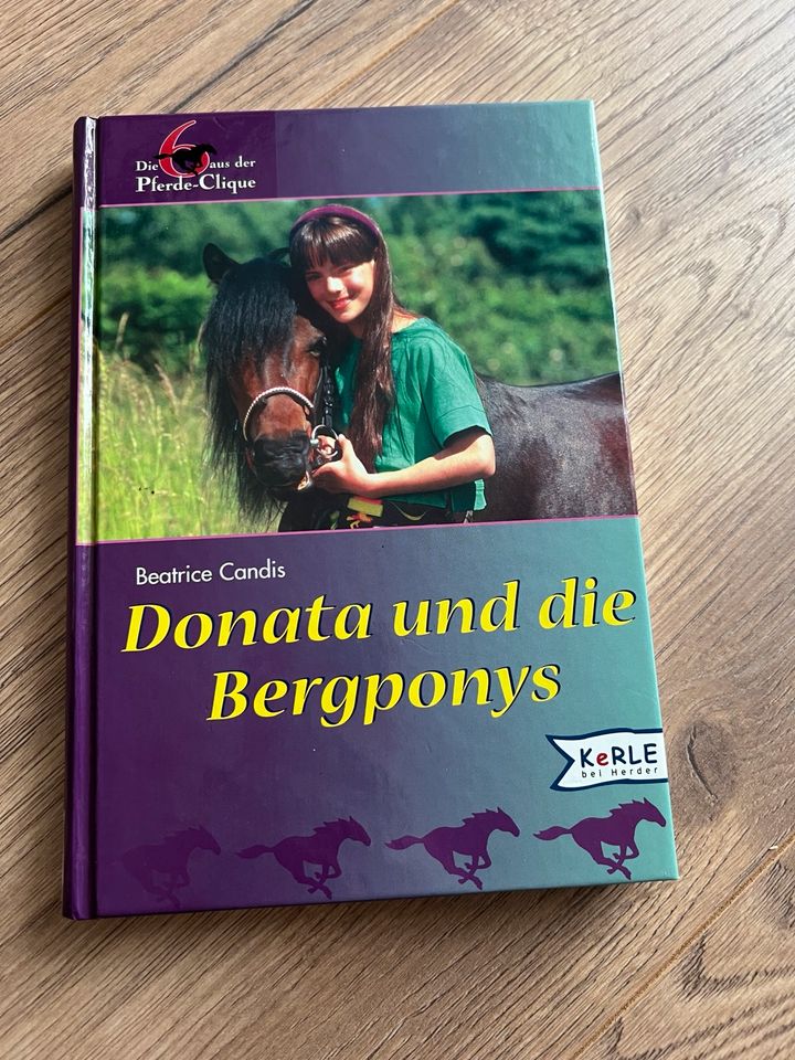 Kinderbuch Donata und die Bergponys in Coppenbrügge