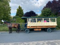 Kutschfahrt Planwagenfahrt Hochzeitskutsche Festumzüge Nordrhein-Westfalen - Dülmen Vorschau