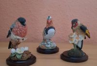 CountryArtist englische Vogelfiguren z.B.Mandarinente/Stieglitz Nordrhein-Westfalen - Erkrath Vorschau