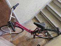 Hercules Damen Fahrrad Hessen - Rüsselsheim Vorschau