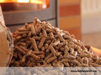 Pellets 6 mm Ø 15 kg ab 5,49€  Brikett Kaminholz Holz Ofen Kamin Sachsen-Anhalt - Oschersleben (Bode) Vorschau