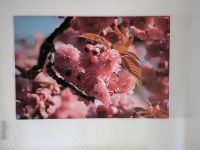 Bild Leinwand Kirschblüte 80x120 Niedersachsen - Wilhelmshaven Vorschau
