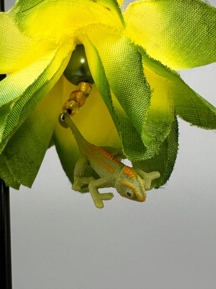 Ohrringe selten besonders Chamäleon Echse Reptil Leguan in Bonn