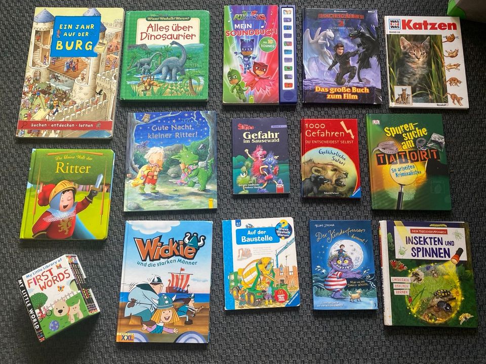 Kinderbücher Paket Set Dinos Wickie ritter Katzen Soundbuch pj in Mechernich