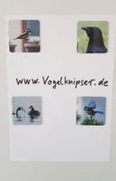 Kühlschrankmagnet Vogelmotiv Hamburg - Wandsbek Vorschau