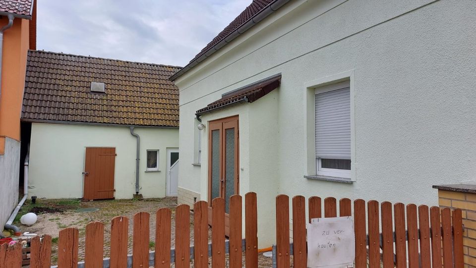 Einfamilienhaus in ländlicher Gegend mit Grundstück in Dommitzsch