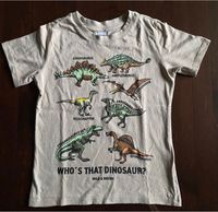 Preis inklusive Versand! Shirt mit Dinos Größe 116 super Zustand! Niedersachsen - Schnega Vorschau