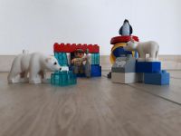 Lego Duplo Polartiergehege 5633 Sachsen-Anhalt - Niederndodeleben Vorschau