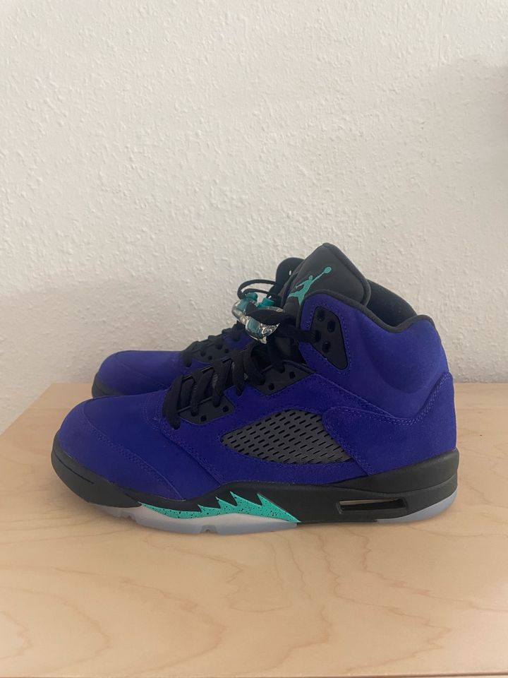 Air Jordan 5 Retro Grape 9.5 in Hannover