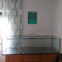 Aquarium / Terrarium Opa p Rheinland-Pfalz - Altenkirchen Vorschau