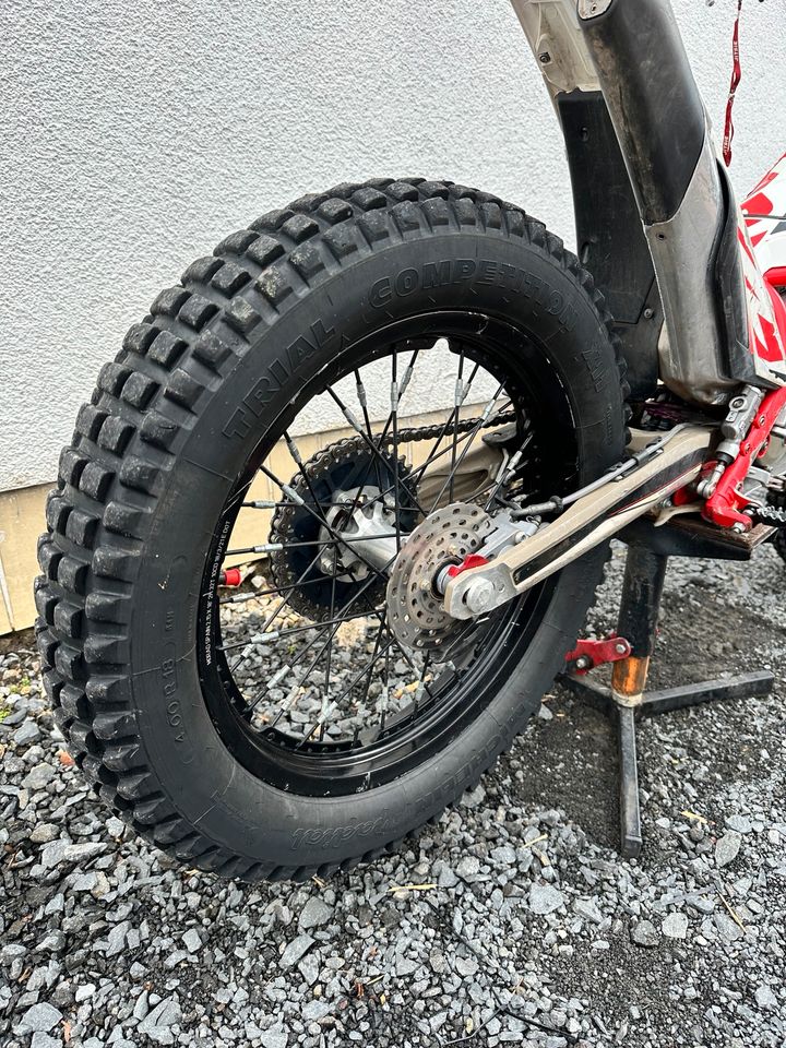 GasGas TXT 300 Racing Trail / STVO Kit dabei in Hauneck