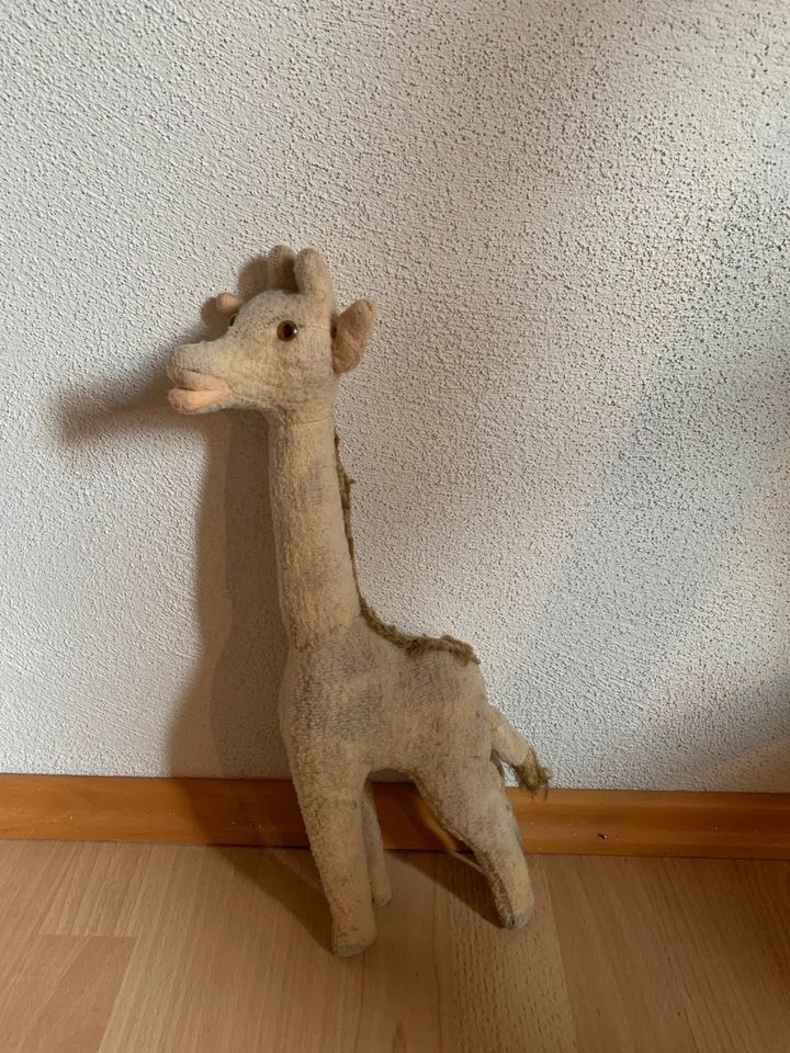 Alte Stofftier Giraffe in Bamberg