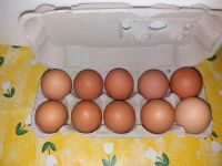 10 frische Eier Schleswig-Holstein - Bokel Vorschau