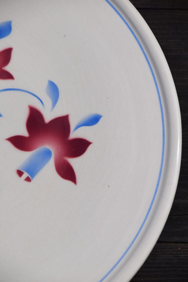 Alte Tortenplatte Tortenteller Keramik Florales Muster in Hilgermissen